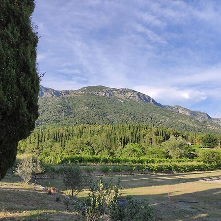 Country House Uros In Nature With Pool Lovorno Экстерьер фото